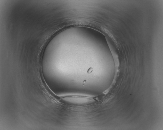 X0000073900673200608251458