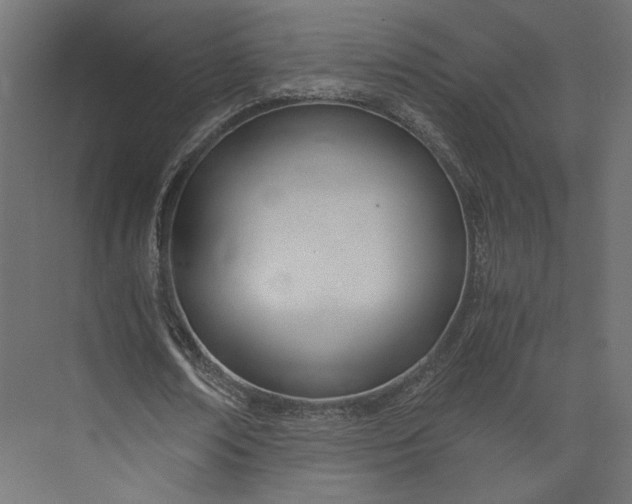 X0000073900674200608251458