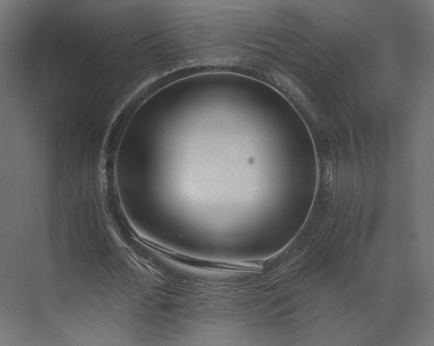 X0000073900676200608251458