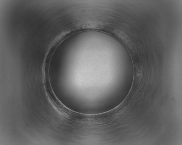 X0000073900678200608251458