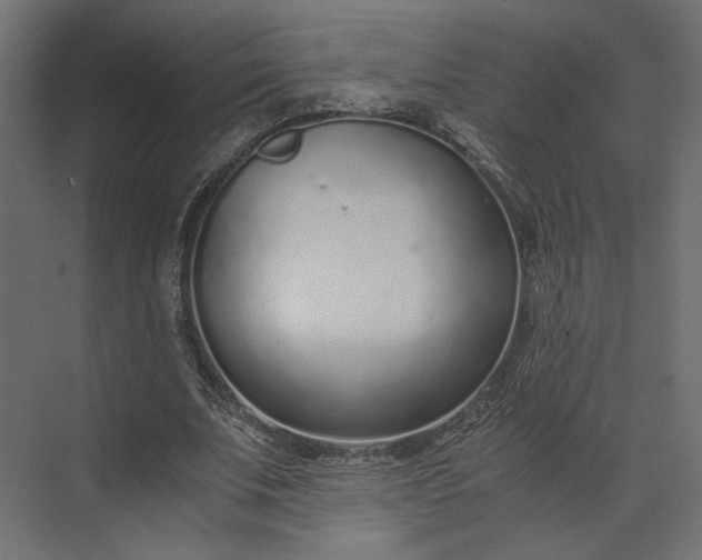 X0000073900679200608251458