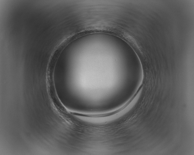 X0000073900680200608251458