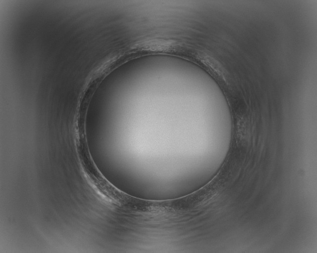 X0000073900682200608251458