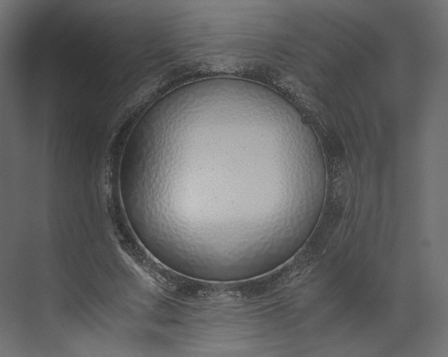 X0000073900683200608251458