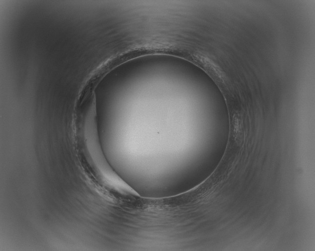 X0000073900684200608251458