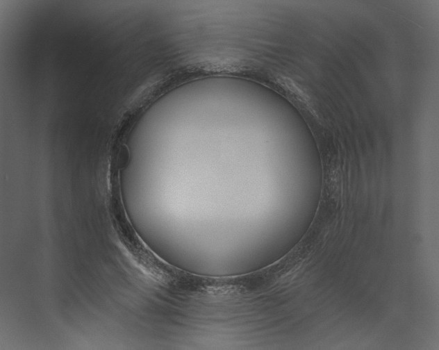 X0000073900686200608251458