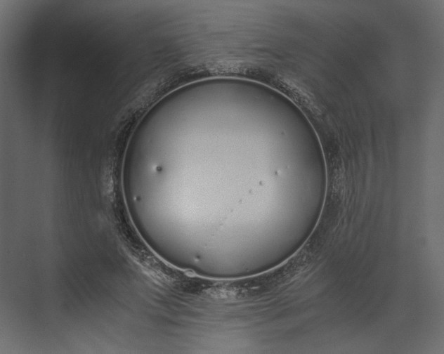 X0000073900687200608251458