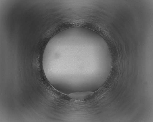 X0000073900689200608251458