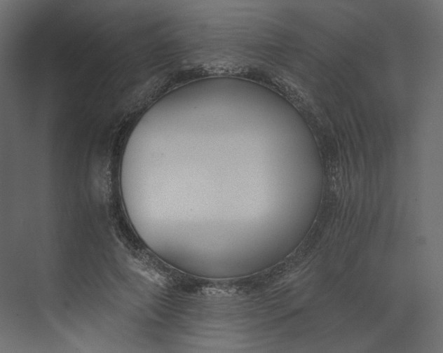 X0000073900690200608251458