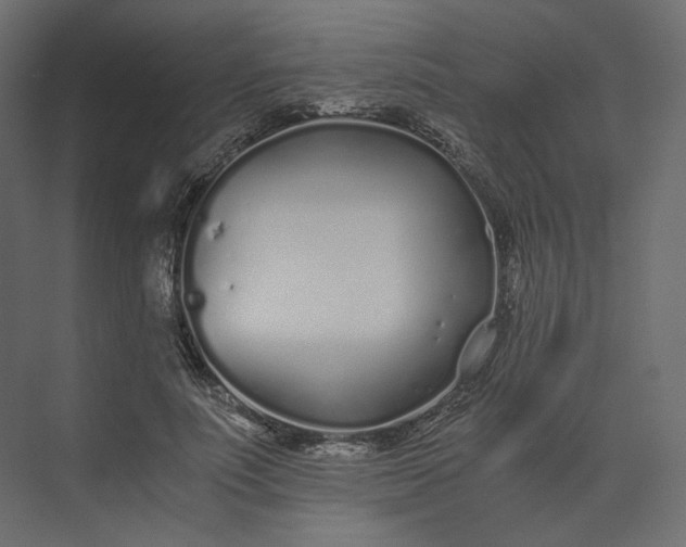 X0000073900691200608251458