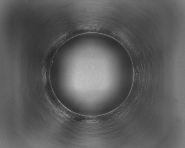 X0000073900692200608251458