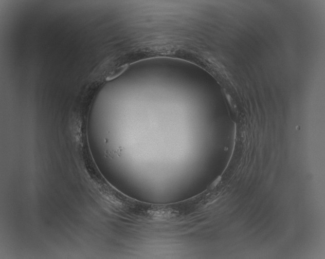 X0000073900693200608251458