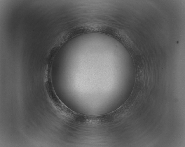 X0000073900694200608251457