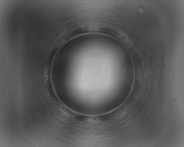 X0000073900697200608251457