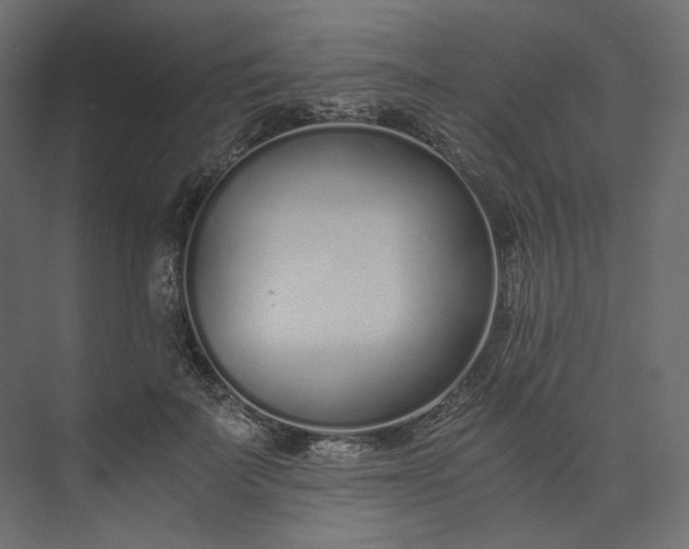 X0000073900699200608251457