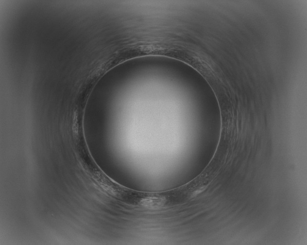 X0000073900700200608251457