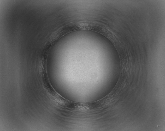 X0000073900702200608251457