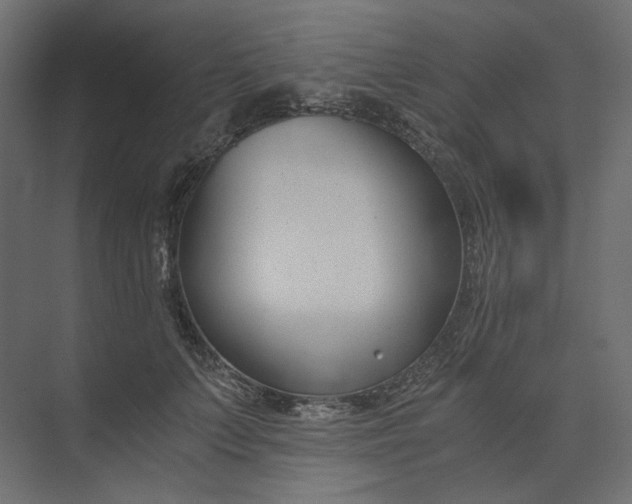 X0000073900703200608251457