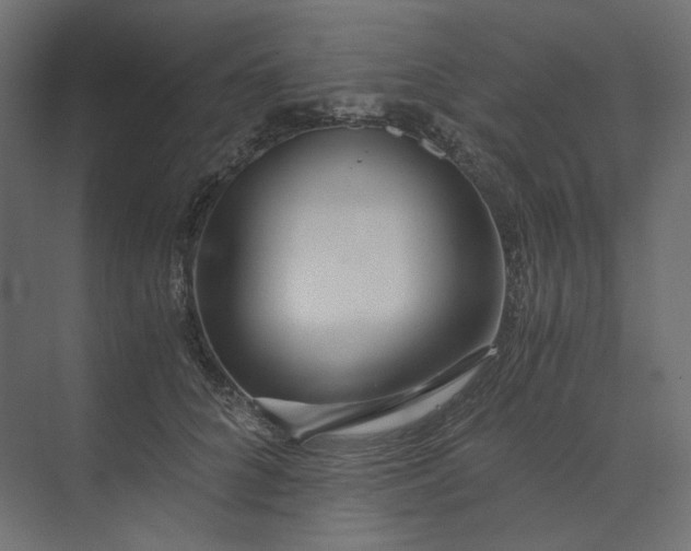 X0000073900704200608251457