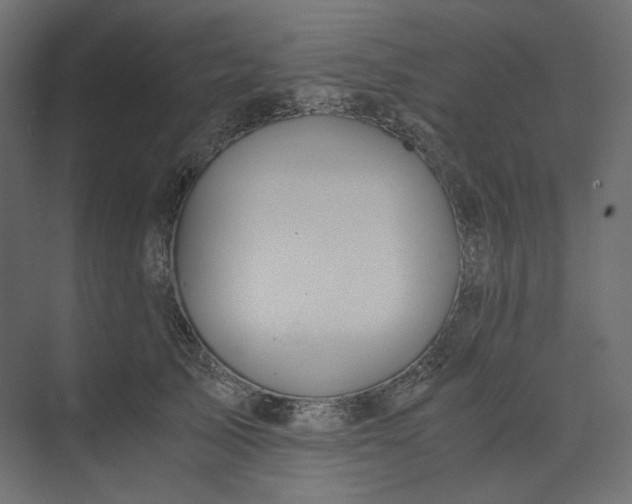 X0000073900705200608251457