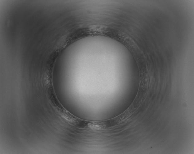 X0000073900706200608251457