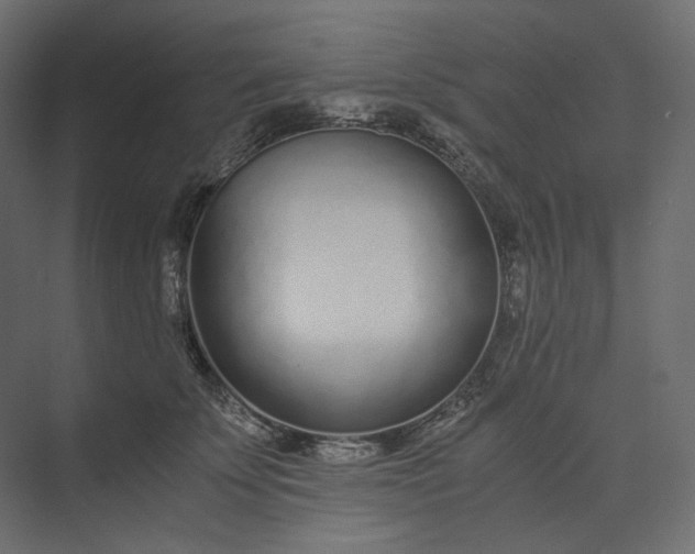 X0000073900707200608251457