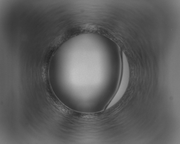 X0000073900708200608251457