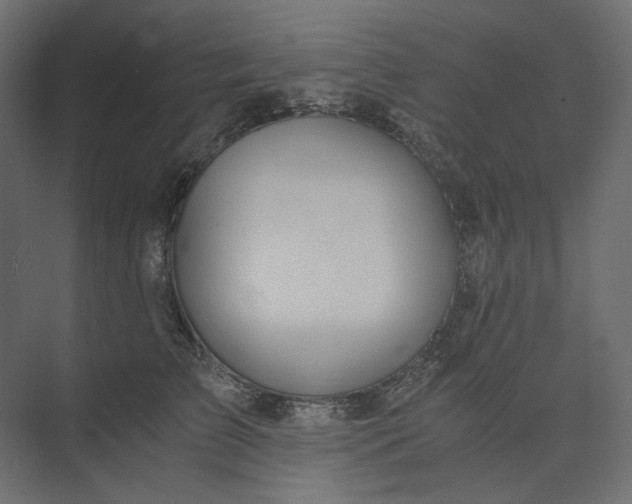 X0000073900709200608251457