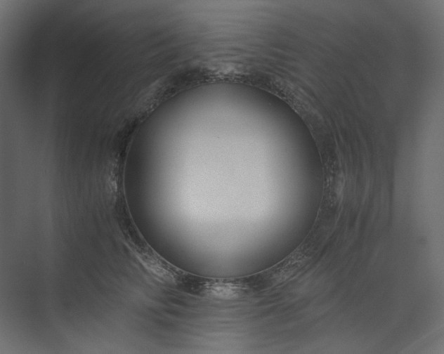 X0000073900710200608251457