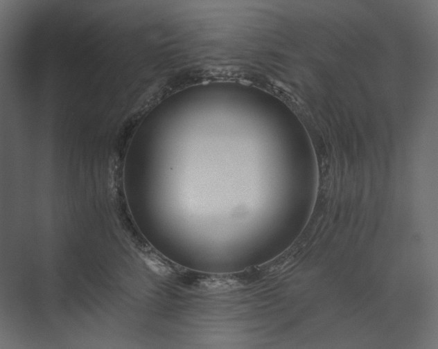 X0000073900712200608251457