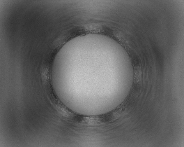 X0000073900713200608251457