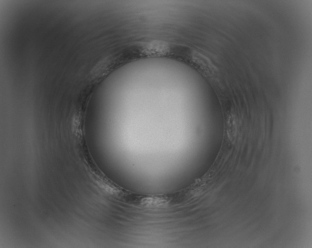 X0000073900714200608251457