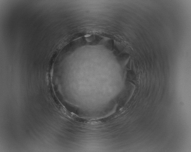 X0000073900716200608251457