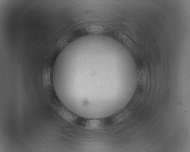 X0000073900717200608251457