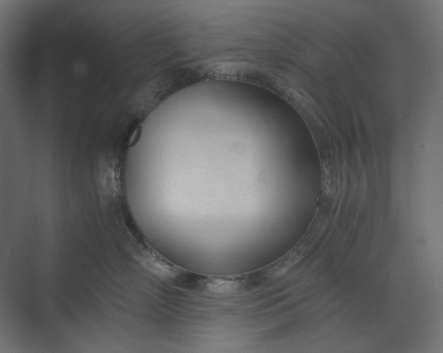 X0000073900718200608251457