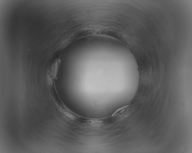 X0000073900719200608251457