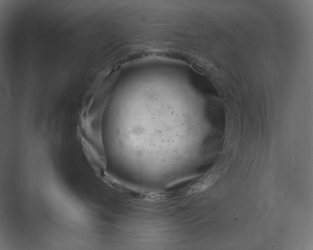 X0000073900720200608251457