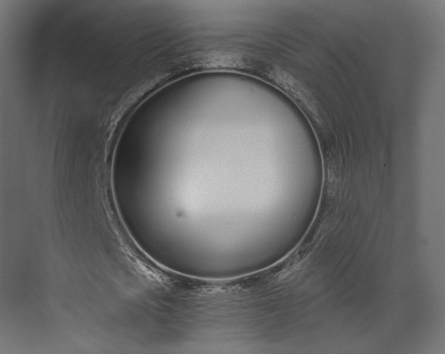 X0000073900721200608251456