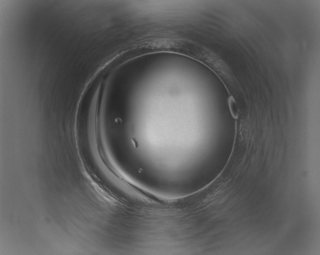 X0000073900722200608251456