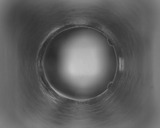 X0000073900723200608251456