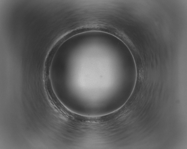 X0000073900724200608251456