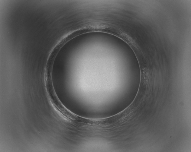 X0000073900726200608251456