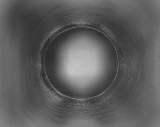 X0000073900727200608251456