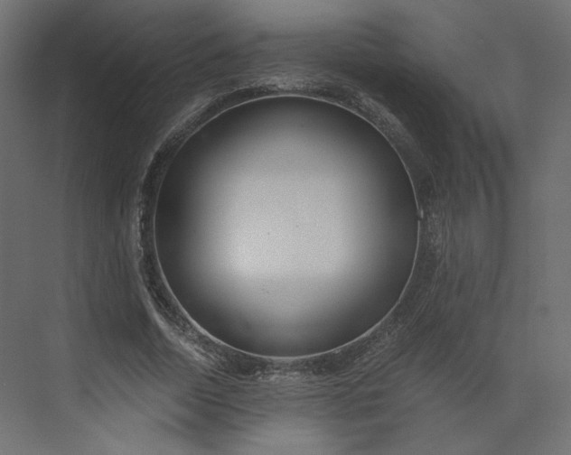 X0000073900730200608251456