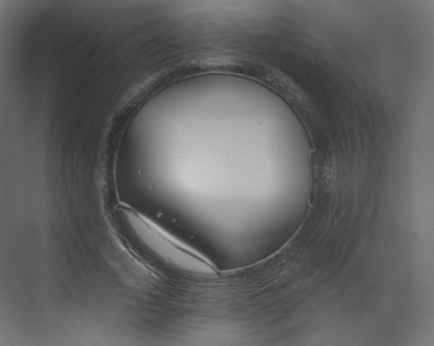 X0000073900732200608251456