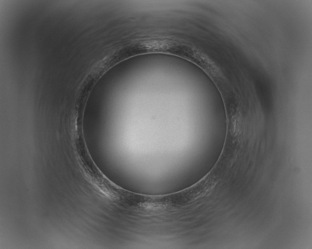 X0000073900733200608251456