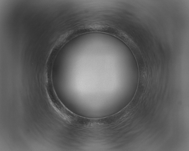 X0000073900734200608251456