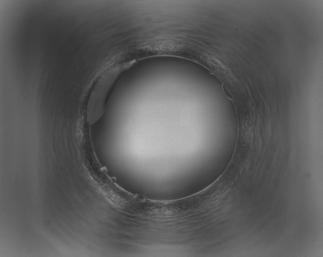 X0000073900735200608251456