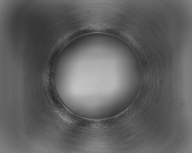 X0000073900736200608251456