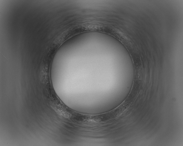 X0000073900737200608251457